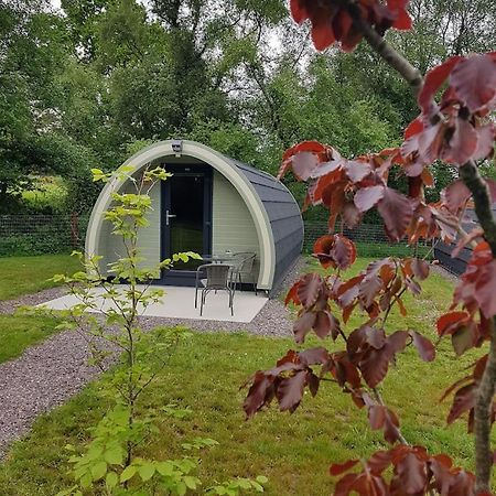 Mount Hillary Holiday Pods Cork Kültér fotó